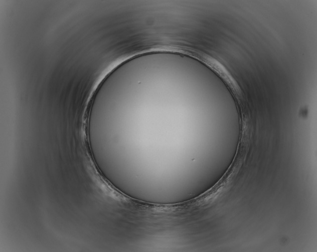 X0000090420908200708031103