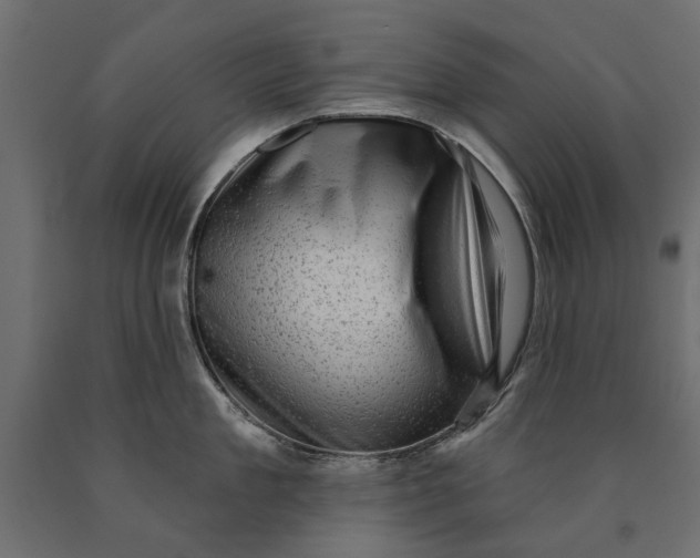 X0000090420909200708031103