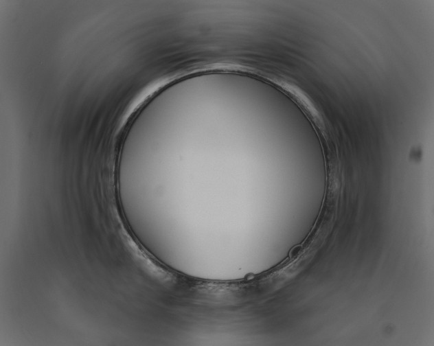 X0000090420910200708031103