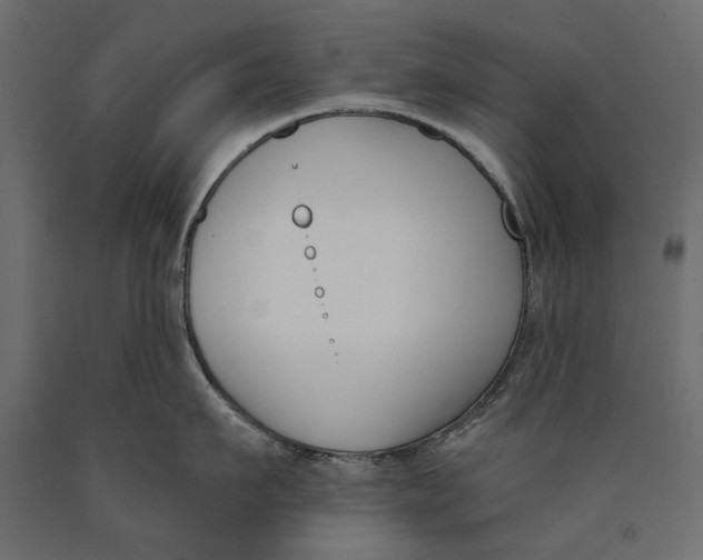 X0000090420911200708031103