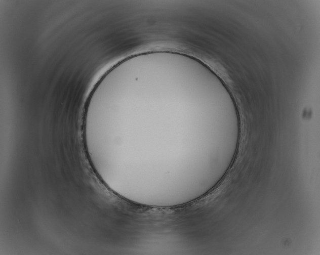 X0000090420912200708031103