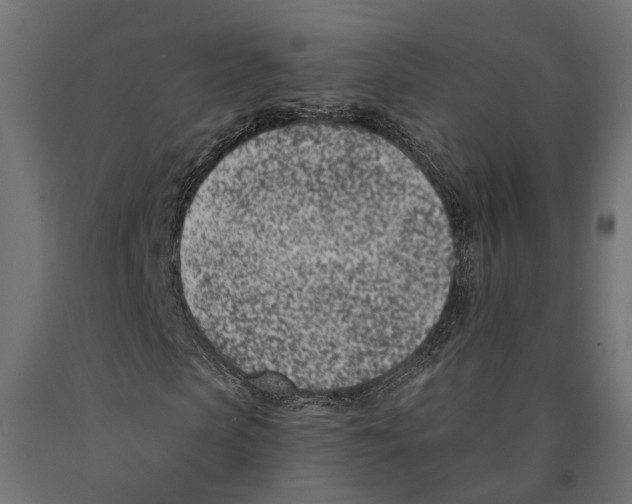 X0000090420913200708031102