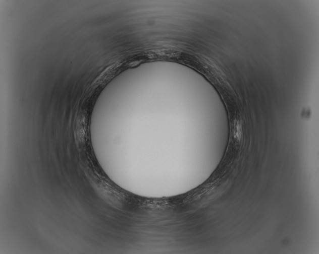 X0000090420915200708031103