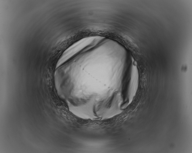 X0000090420917200708031103