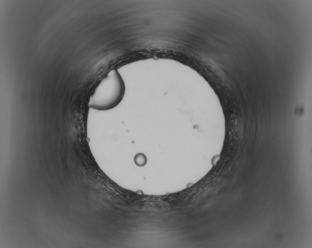 X0000090420918200708031103