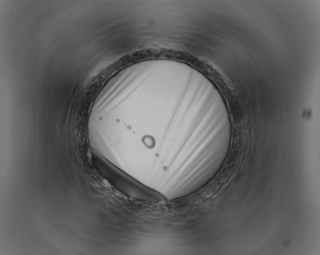 X0000090420919200708031103