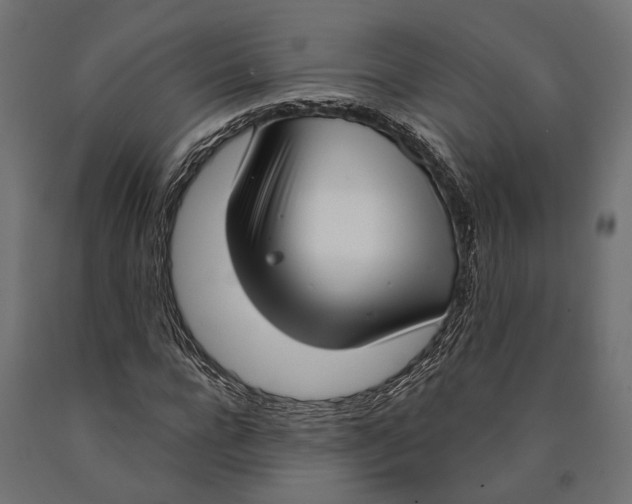 X0000090420920200708031103