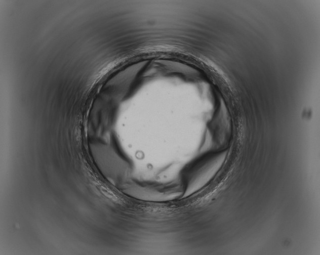 X0000090420921200708031103