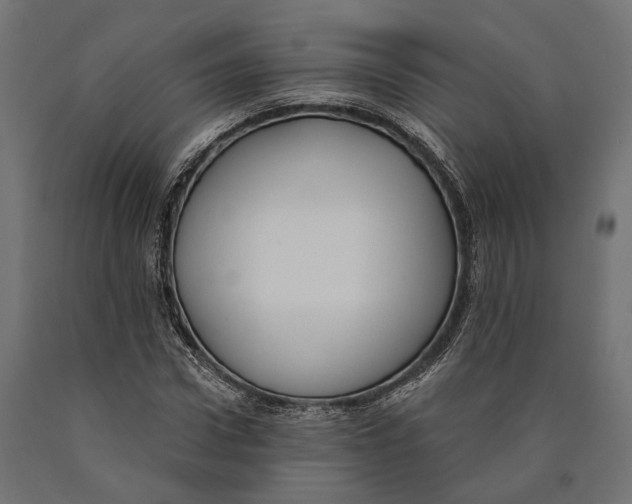 X0000090420922200708031103