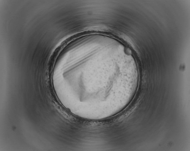 X0000090420923200708031103