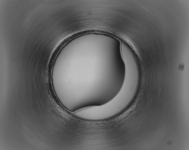 X0000090420924200708031103