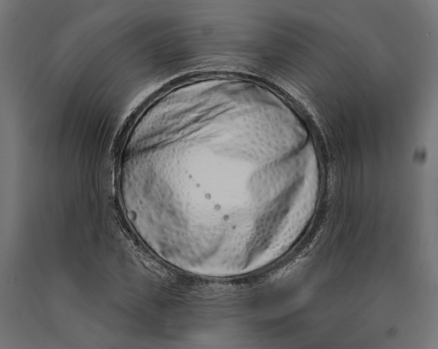 X0000090420925200708031103