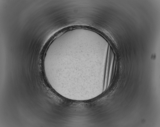 X0000090420926200708031103