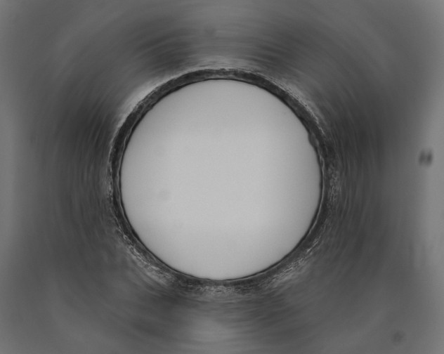 X0000090420927200708031103