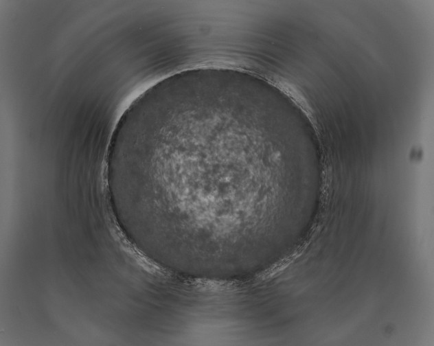 X0000090420928200708031103