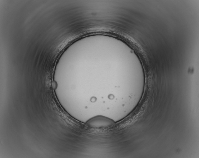 X0000090420929200708031103