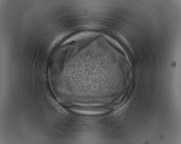 X0000090420930200708031103