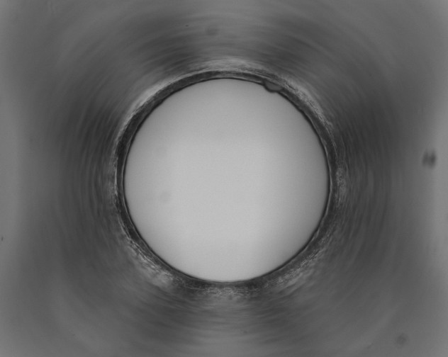 X0000090420931200708031103