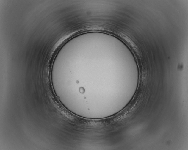 X0000090420933200708031103