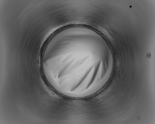 X0000090420934200708031103