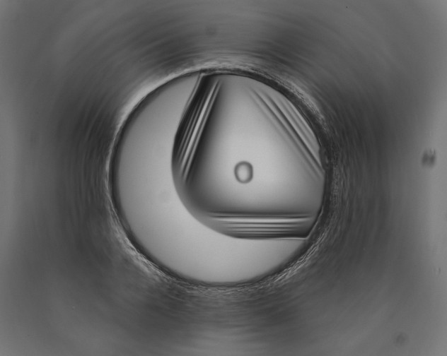 X0000090420936200708031103