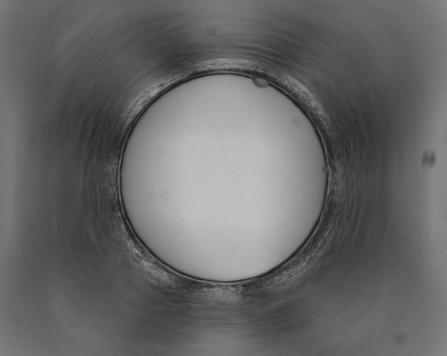 X0000090420937200708031103