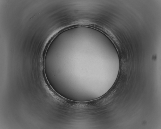 X0000090420939200708031103