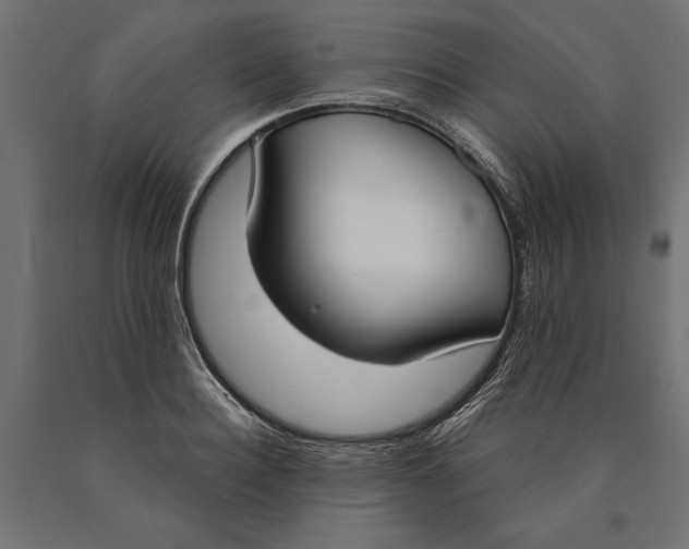 X0000090420940200708031103