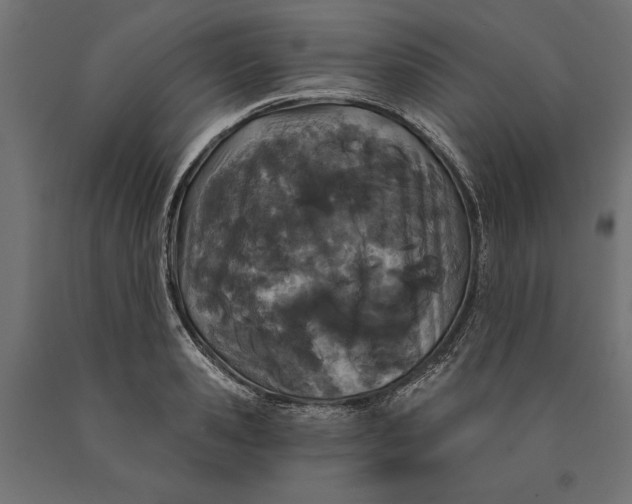 X0000090420941200708031103