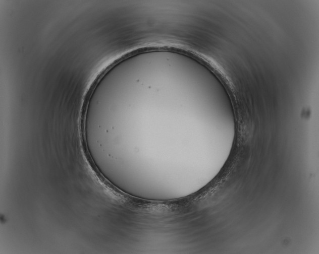 X0000090420943200708031103