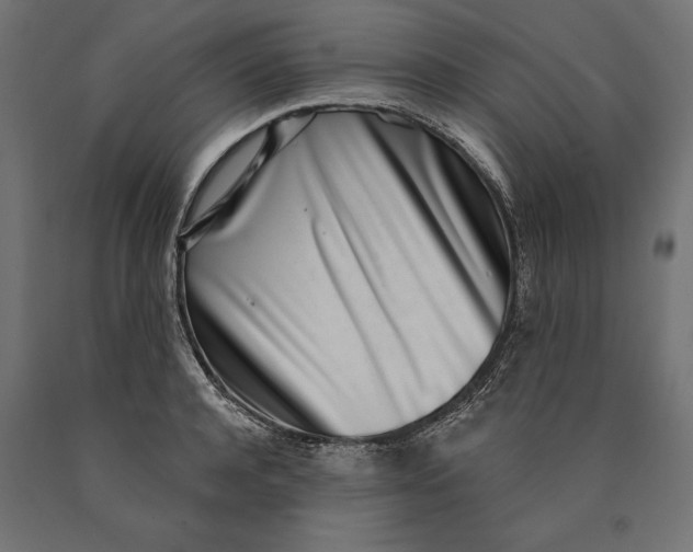 X0000090420944200708031103