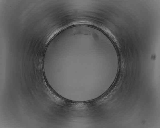 X0000090420945200708031103