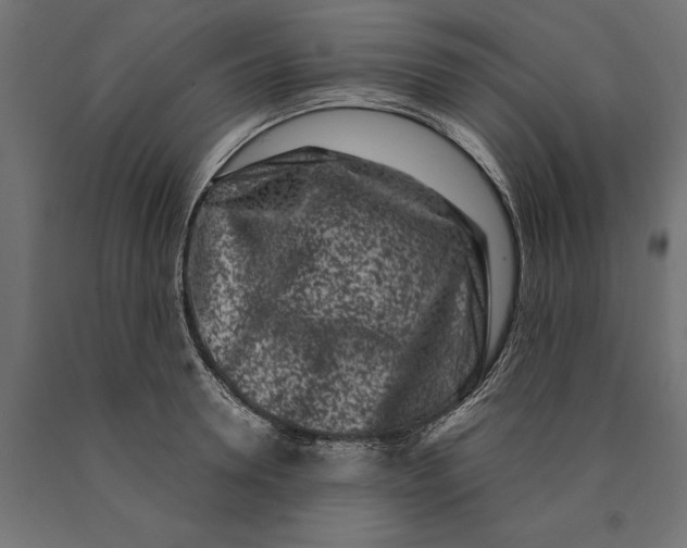 X0000090420946200708031103