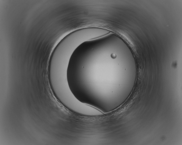 X0000090420948200708031103