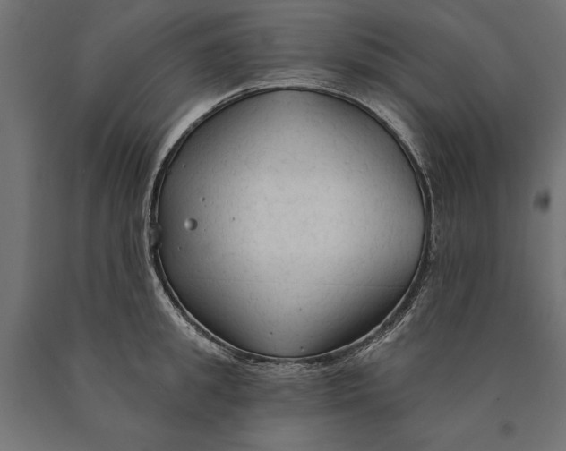 X0000090420949200708031103