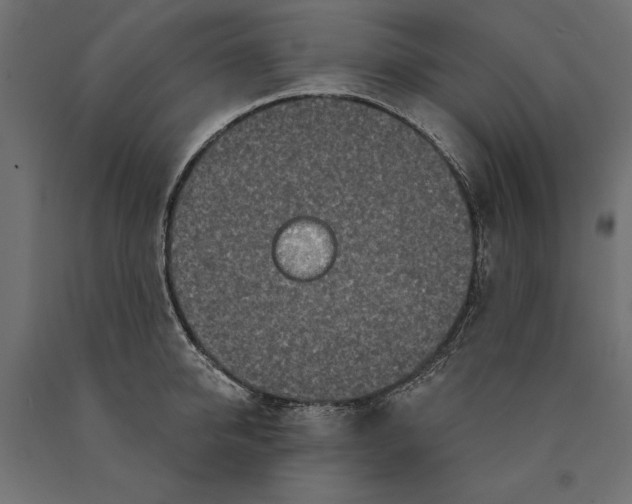 X0000090420950200708031103