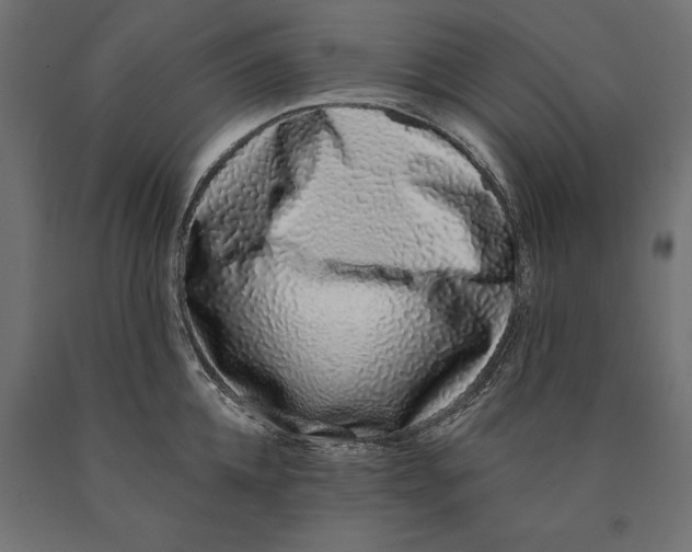 X0000090420952200708031103