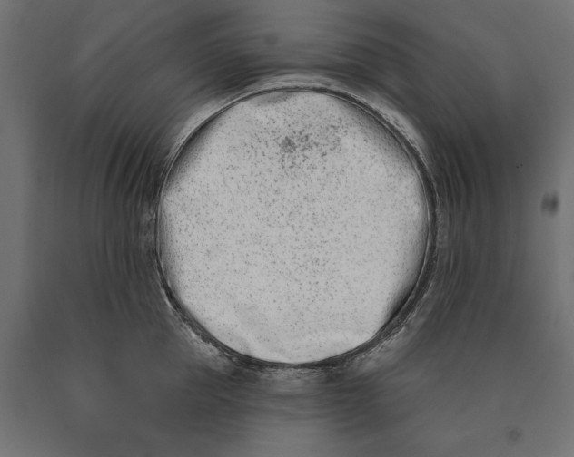 X0000090420953200708031103