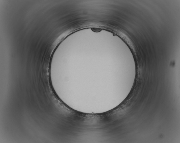 X0000090420954200708031103