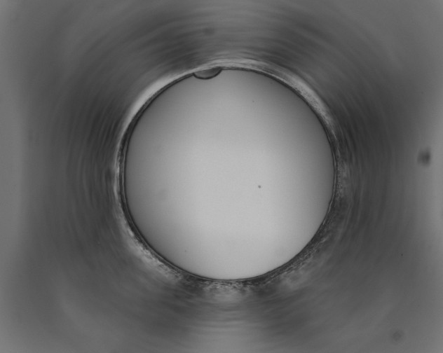 X0000090420955200708031103