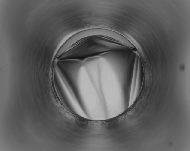 X0000090420956200708031103