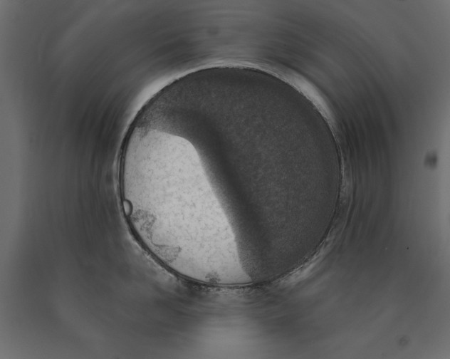 X0000090420958200708031103