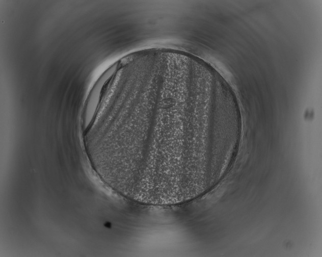 X0000090420960200708031103