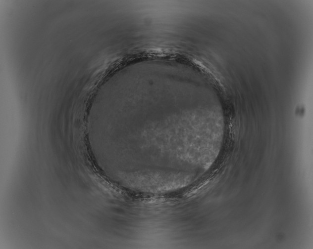 X0000090420961200708031102