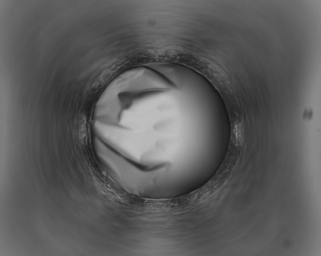 X0000090420963200708031102