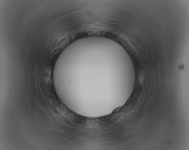 X0000090420964200708031102