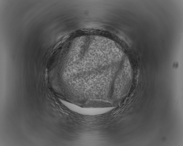 X0000090420965200708031102