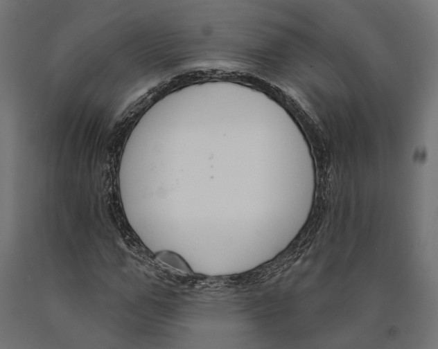 X0000090420967200708031102