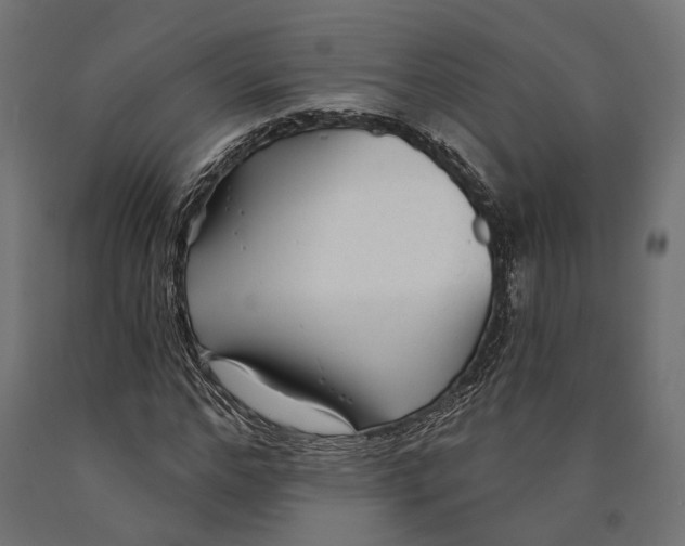 X0000090420968200708031102