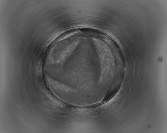 X0000090420969200708031102